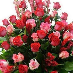 Meet your Posher, Farah